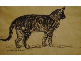 Gato Gato