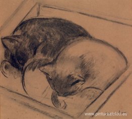 Dos gatos durmiendo Dos gatos durmiendo