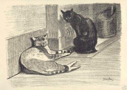 dos gatos dos gatos
