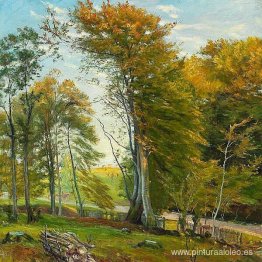 Camino por el bosque, otoño. Camino por el bosque, otoño.