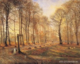 A finales de otoño en el parque de ciervos Jægersborg, al norte A finales de otoño en el parque de ciervos Jægersborg, al norte