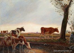 Las vacas regresan a casa por la tarde Las vacas regresan a casa por la tarde