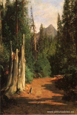 Butte Negro, Monte Shasta Butte Negro, Monte Shasta