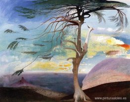 El cedro solitario El cedro solitario