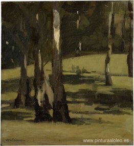 Sombras, paisaje con árboles. Sombras, paisaje con árboles.