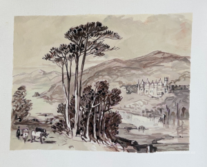 El castillo del Donau