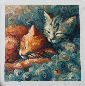 Pinturas personalizadas