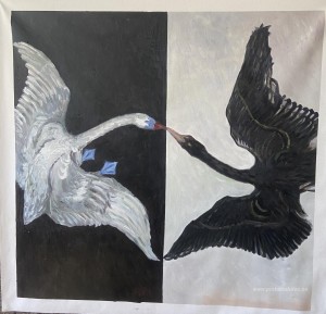 El cisne (Nº 17)