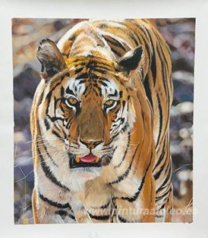 Pinturas personalizadas