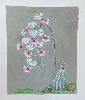 Pinturas personalizadas