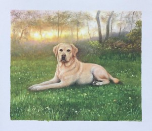 Pinturas personalizadas