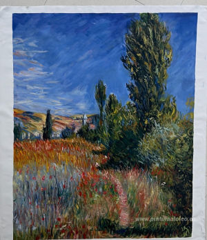Paisaje en la isla Saint-Martin