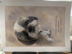 Pinturas personalizadas
