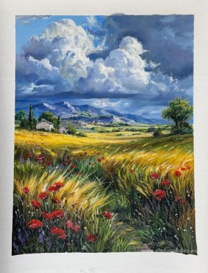 Pinturas personalizadas