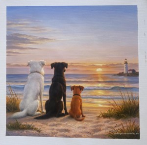 Pinturas personalizadas