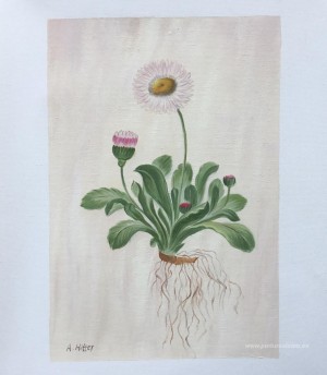 Pinturas personalizadas