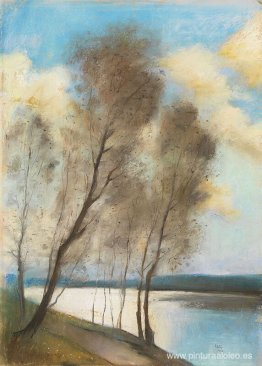 Primavera Primavera
