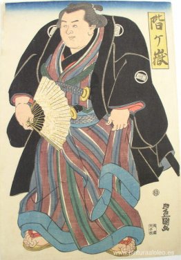 Luchador de sumo en underkimono a rayas azul-marrón Luchador de sumo en underkimono a rayas azul-marrón