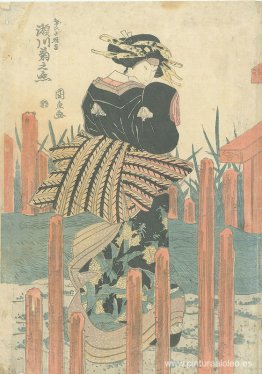 Segawa Kikunojo V como Onnagata Segawa Kikunojo V como Onnagata