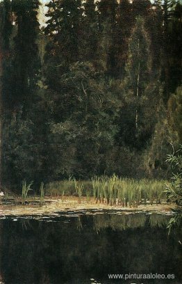 Estanque en Ajtyrka Estanque en Ajtyrka