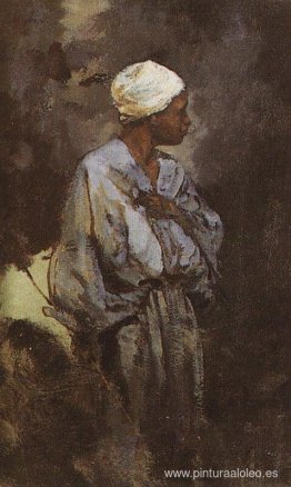 Conductor de Dunkey en El Cairo Conductor de Dunkey en El Cairo