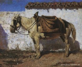 Caballo Blanco. Normandía. Caballo Blanco. Normandía.