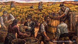 Vendimia en Ribera del Duero Vendimia en Ribera del Duero