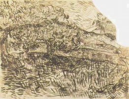 Olivos en un paisaje de montaña Olivos en un paisaje de montaña