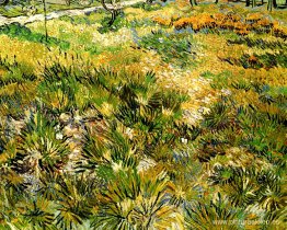 Pradera en el jardín del hospital Saint-Paul Pradera en el jardín del hospital Saint-Paul