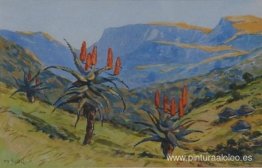 Debajo de Drummond, Natal Debajo de Drummond, Natal