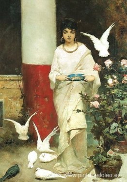 niña con palomas niña con palomas