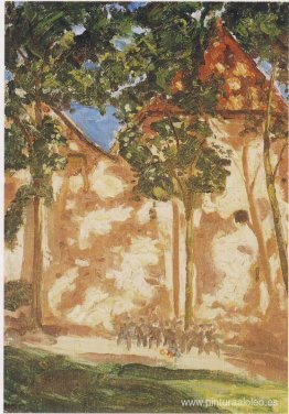 Arboles y sombras Arboles y sombras