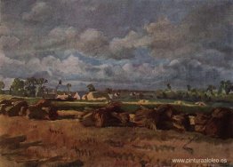 campo segado campo segado